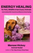 Energy Healing For Pets, Wildlife & Sanctuary Animals