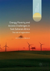 Energy Poverty And Access Challenges In Sub-Saharan Africa
