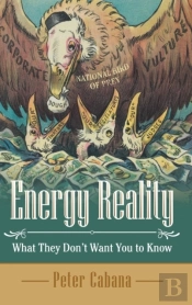 Energy Reality