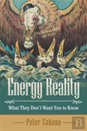Energy Reality