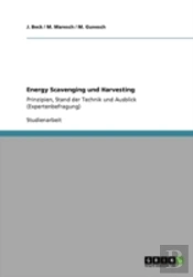 Energy Scavenging Und Harvesting