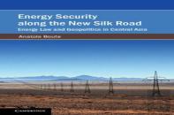 Energy Security Along The New Silk Road