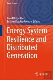 Energy System Resilience And Distributed Generation