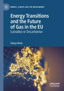 Energy Transitions And The Future Of Gas In The Eu