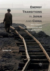 Energy Transitions In Japan And China
