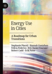 Energy Use In Cities
