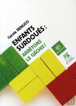 Bertrand.pt - Enfants Surdoués : Arrêtons Le Gâchis !