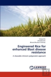 Engineered Rice For Enhanced Blast Disease Resistance