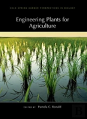 Engineering Plants For Agriculture