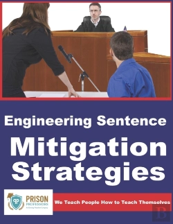 Bertrand.pt - Engineering Sentence Mitigation Strategies