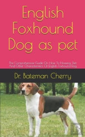 English Foxhound Dog As Pet