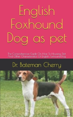 Bertrand.pt - English Foxhound Dog As Pet