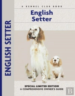 Bertrand.pt - English Setter