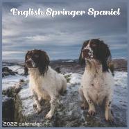 English Springer Spaniel Calendar 2022