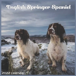 Bertrand.pt - English Springer Spaniel Calendar 2022