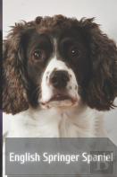 English Springer Spaniel