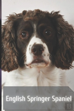 Bertrand.pt - English Springer Spaniel