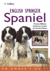 English Springer Spaniel