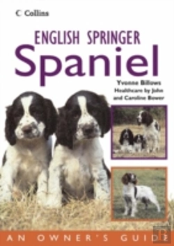Bertrand.pt - English Springer Spaniel