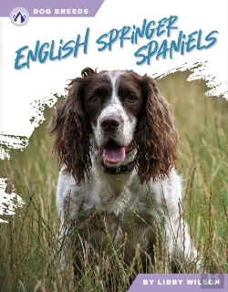 Bertrand.pt - English Springer Spaniels