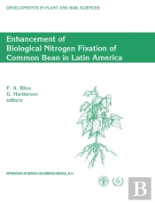 Enhancement Of Biological Nitrogen Fixation Of Common Bean In Latin America