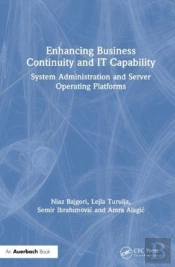 Enhancing Business Continuity And It Capability