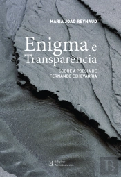 Enigma e Transparência