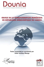 Enjeux De La Transformation Numérique En République Démocratique Du Congo