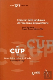 Enjeux, Défis Juridiques De L'Économie De Plateforme