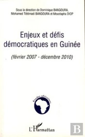 Enjeux Et Défis Démocratiques En Guinée (Février 2007 - Décembre 2010)