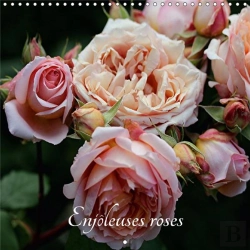 Bertrand.pt - Enjoleuses Roses Calendrier Mural 2018 300 300 Mm Square