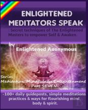 Enlightened Meditators Speak