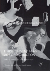 Enlightenment In An Age Of Destruction