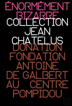 Bertrand.pt - Énormément Bizarre - Collection Jean Chatelus : Donation Fondation Antoine De Galbert Au Centre Pompidou