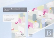 Enpresaren Zuzenbiderako Sarrera: Eskemak