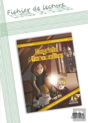 Enquête À La Tourmaline Tome 1 : Fichier De Lecture