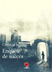 Enquête De Succès