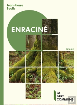 Bertrand.pt - Enracine