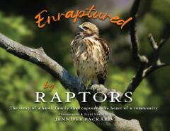 Enraptured By Raptors