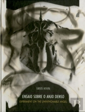 Ensaio Sobre o Anjo Denso