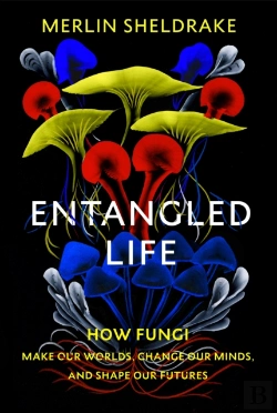 Bertrand.pt - Entangled Life