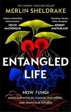 Bertrand.pt - Entangled Life