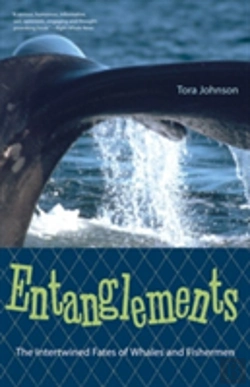 Bertrand.pt - Entanglements