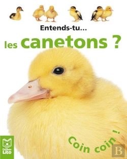 Bertrand.pt - Entends Tu : Les Canetons