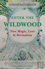 Enter The Wildwood