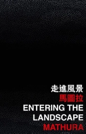 Entering The Landscape