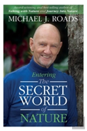 Entering The Secret World Of Nature