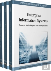 Enterprise Information Systems