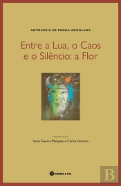 Entre a Lua, o Caos e o Silêncio: a Flor