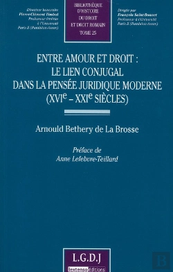 Bertrand.pt - Entre Amour Et Droit : Le Lien Conjugal Dans La Pensée Juridique Moderne (Xvie-Xxie Siècle) Tome 25